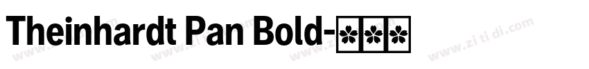 Theinhardt Pan Bold字体转换 Theinhardt Pan Bold字体转换